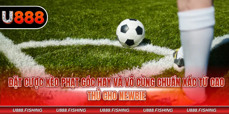 Đặt cược kèo phạt góc hay và vô cùng chuẩn xác từ cao thủ cho Newbie