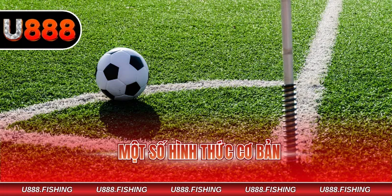 Một số hình thức cơ bản