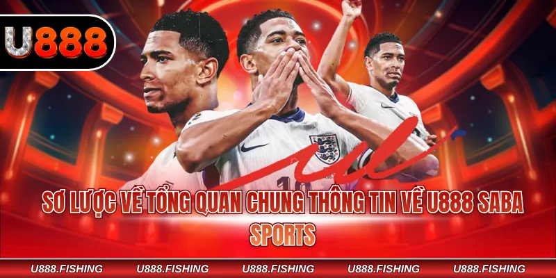 Sơ lược về tổng quan chung thông tin về U888 SABA Sports