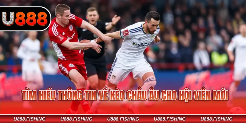 Tìm hiểu thông tin về kèo châu Âu cho hội viên mới